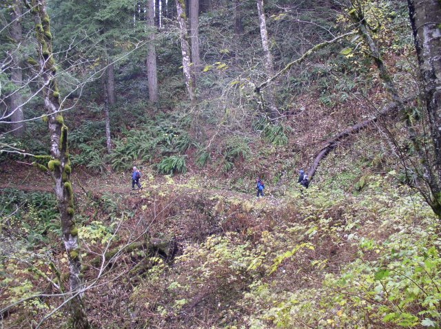 Waukeena Mult Falls 11.26.05 048 